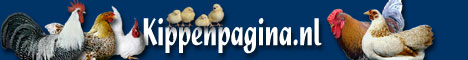 Kippenpagina.nl - Alle Info over kippen die je moet weten