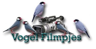Filmpjes van Voliérevogels